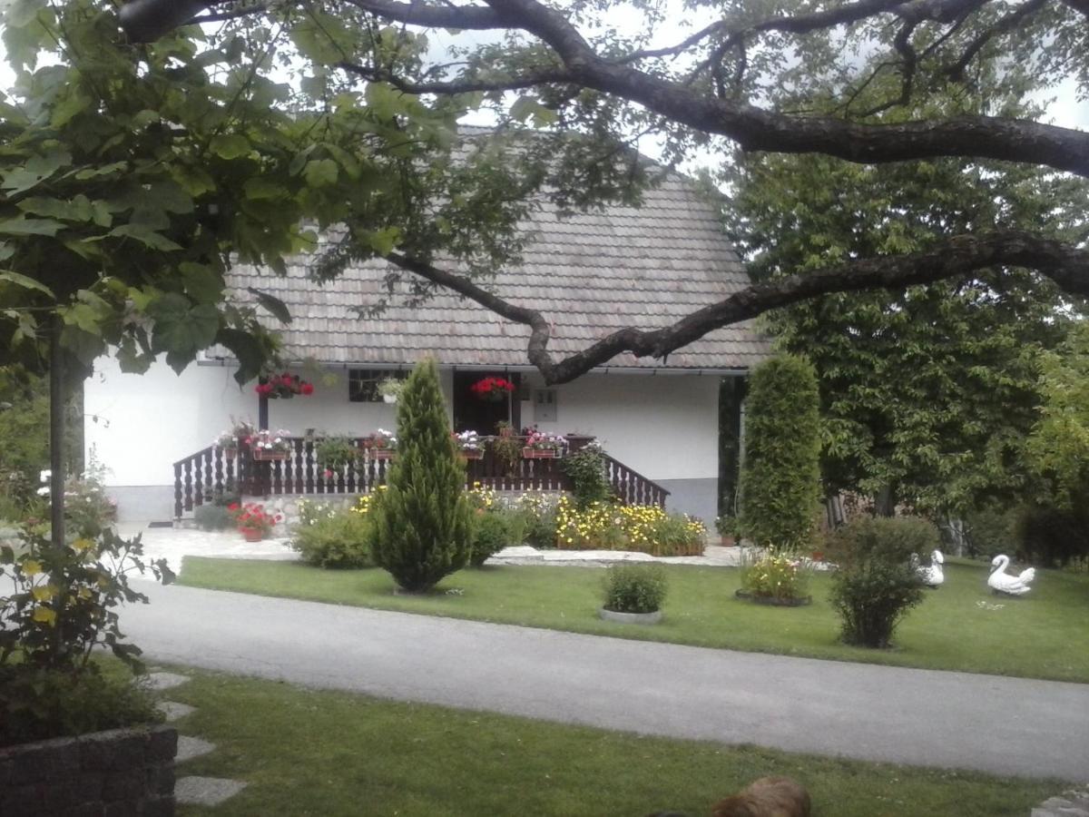 House Nina Apartment Poljanak Exterior photo